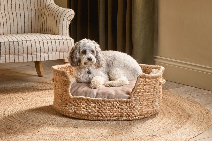 Uff Hemp Pet Bed - Medium