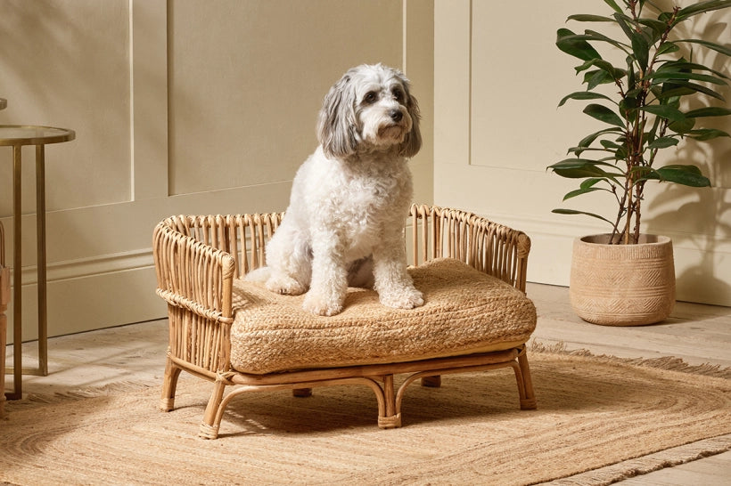 Tedi Rattan Pet Bed - Medium